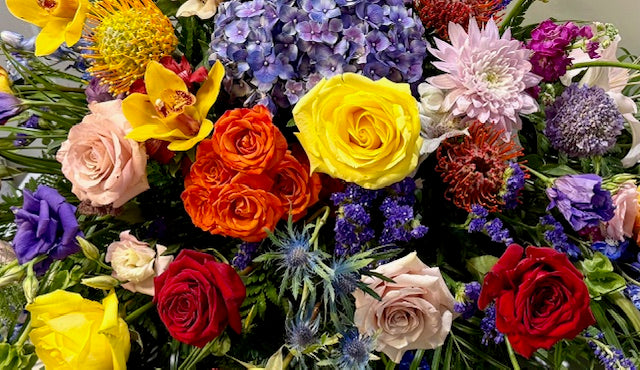 Designer's Choice: Colorful