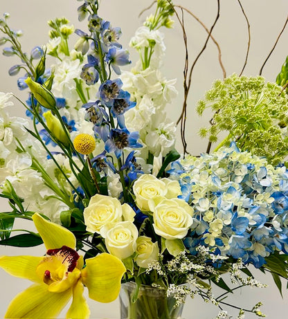 Butterfly Garden Blooms